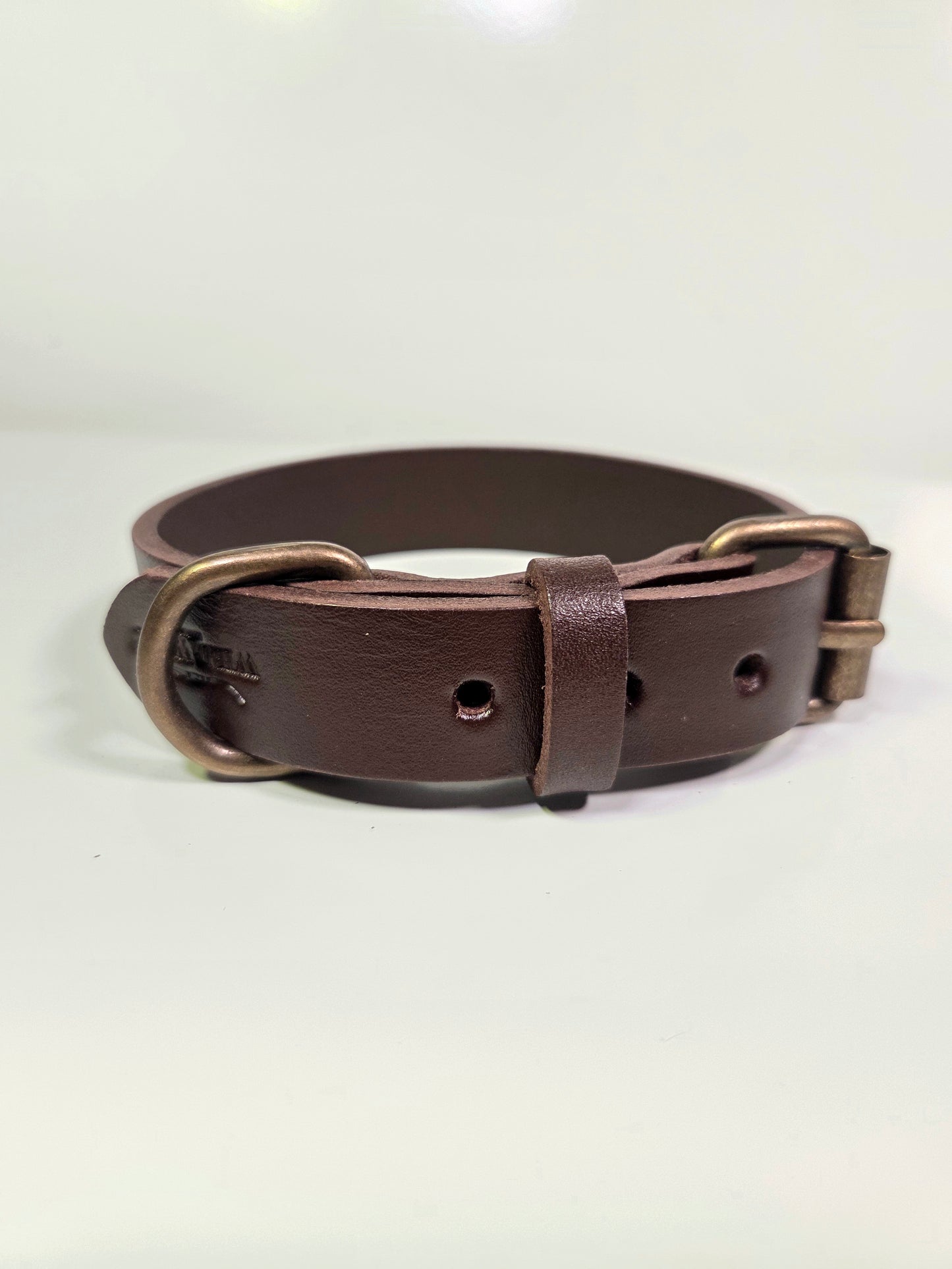 Köpek Tasması