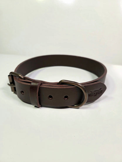 Köpek Tasması