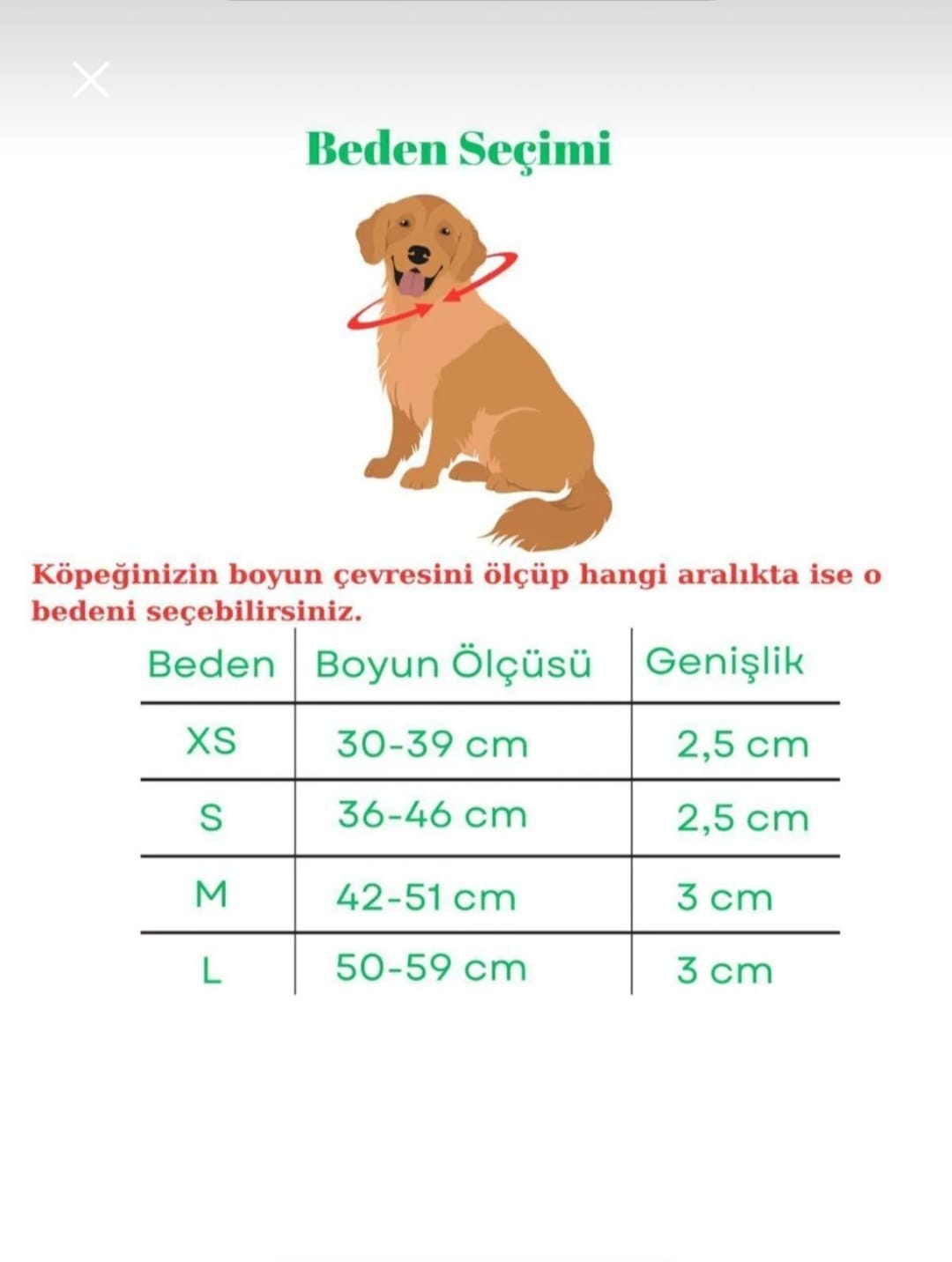 Köpek Tasması